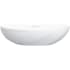 Rohl Seros VBSER55MSMIO - 21 Inch Oval Vessel Bathroom Sink with 1.5 Gallon Capacity