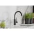 Elkay Avado Collection LKAV3021BK - Lifestyle View