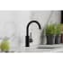 Elkay Avado Collection LKAV3021MB - Lifestyle View