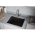 Elkay Quartz Classic LKPDQSBK - Lifestyle View