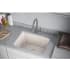 Elkay Quartz Classic LKPDQSBQ - Lifestyle View