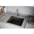 Elkay Quartz Classic LKPDQSGY - Lifestyle View