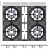 Capital Culinarian Series MCOR304N - Cooktop