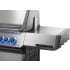 Napoleon P500VRSIBNSS - 2 Side Shelves