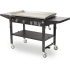Pit Boss 10554 - Angle View