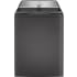 GE Profile PTW600BPRDG - 28 Inch Top Load Smart Washer Front View