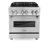 ZLINE RAGR30 - 30 Inch Pro-Style Dual Fuel Range