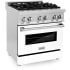 ZLINE RAWMGR30 - 30 Inch Pro-Style Dual Fuel Range Angle View