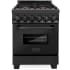 ZLINE RABBR24 - Professional Black Stainless Dual Fuel Range with Brass Burners