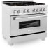 ZLINE RASSNBR36 - Professional DuraSnow® Stainless Steel Dual Fuel Range with Brass Burners