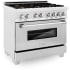 ZLINE RASSNBRGR36 - 36 Inch Pro-Style Dual Fuel Range in Fingerprint Resistant Stainless Steel