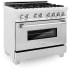 ZLINE RASSNGR36 - 36 Inch Pro-Style Dual Fuel Range Angle View