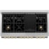 ZLINE Autograph Edition RAZ48G - 48 Inch Pro-Style Double Oven Dual Fuel Range 7 Italian Sealed Burners