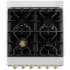 ZLINE Autograph Edition RAZWM24G - 24 Inch Pro-Style Dual Fuel Range 4 Italian Sealed Burners