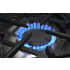 BlueStar Culinary Series RCS24SBV2 - Burner View