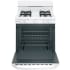 Hotpoint RGBS300DMWW - Open View