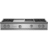 BlueStar RGTNB Series RGTNB484GCBV2 - Main Image