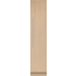 Fisher &amp; Paykel Series 11 FPRFC2418PR1 - 18 Inch Panel Ready Freezer Column Front View Panel Ready