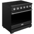 Thor Kitchen Gordon Ramsay Collection Professional RSE36PBSS - 36 Inch Professional Electric Range