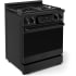 Thor Kitchen Gordon Ramsay Collection RSG30BLP - 30 Inch Freestanding Professional Gas Range