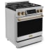Thor Kitchen Gordon Ramsay Collection RSG30BRZ - 30 Inch Freestanding Professional Gas Range