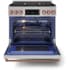 Thor Kitchen Gordon Ramsay Collection RSG36LPRSG - 36 Inch Professional LP Range in Opened View