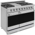 Thor Kitchen Gordon Ramsay Collection RSG48E - 48 Inch Professional Gas Range in Angled View