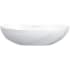 Rohl Seros VBSER55IO - 21 Inch Oval Vessel Bathroom Sink with 1.5 Gallon Capacity