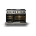 Viking 7 Series VDR74826GPW - Dual Fuel Range