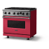 Viking 5 Series VGIC53626BVA - no_label