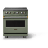 Viking 5 Series VIR53044BEUBB - 30 Inch Induction Range