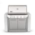 Weber Summit 1500042 - Summit SB38-S Grill