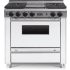 FiveStar WTN3327W - 36 Inch Freestanding Gas Range with 4 Sealed Burners
