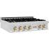 ZLINE Autograph Edition RTSZ36G - 36 Inch Gas Rangetop Angle