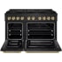 ZLINE Paramount PSDRBZ48KG - 48 Inch Pro-Style Dual Fuel Range