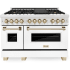 ZLINE Autograph Edition RASZWM48G - 48 Inch Dual Fuel Range