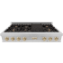 ZLINE Autograph Edition RTSZ48G - 48 Inch Gas Rangetop