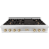 ZLINE Autograph Edition RTZ48G - Front Top
