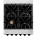 ZLINE Autograph Edition RAZWM24MB - 24 Inch Pro-Style Dual Fuel Range 4 Italian Sealed Burners