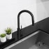 ZLINE RBCN1KFMB - ZLINE Palisades Pull Down Single Handle Kitchen Faucet in Matte Black (RBCN1-KF-MB) in a luxury kitchen, from above.
