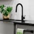 ZLINE RBCN1KFMB - ZLINE Palisades Pull Down Single Handle Kitchen Faucet in Matte Black (RBCN1-KF-MB) in a luxury kitchen, water on.