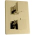 ZLINE CBYSHST2PG - Crystal Bay Thermostatic Shower System Lever Handle