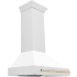 ZLINE Autograph Edition 8654SNZWM36G - Angled
