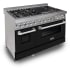 ZLINE RASBLM48 - 48 Inch Pro-Style Double Oven Dual Fuel Range Angle View