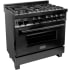 ZLINE RAB36 - 304 Grade Black Stainless Steel