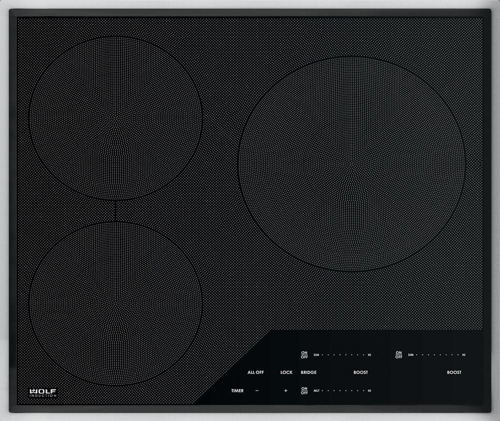 Wolf VU24S BuiltIn Hood Insert with ADA Compliant Remote