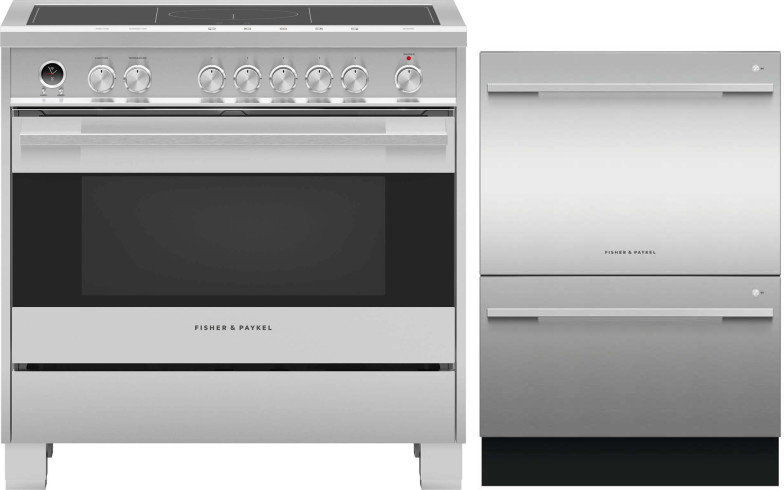 Fisher & Paykel 2 Piece Kitchen Appliances Package with Induction Range and Dishwasher in Stainless Steel FPRADW14