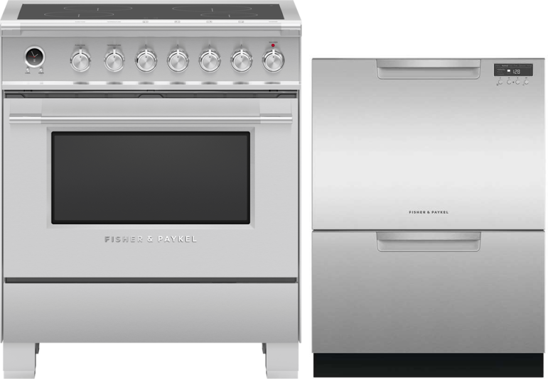 Fisher & Paykel 2 Piece Kitchen Appliances Package with Induction Range and Dishwasher in Stainless Steel FPRADW745