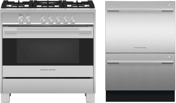 2 Piece Kitchen Appliances Package with Gas Range and Dishwasher in Stainless Steel - Fisher & Paykel FPRADW12