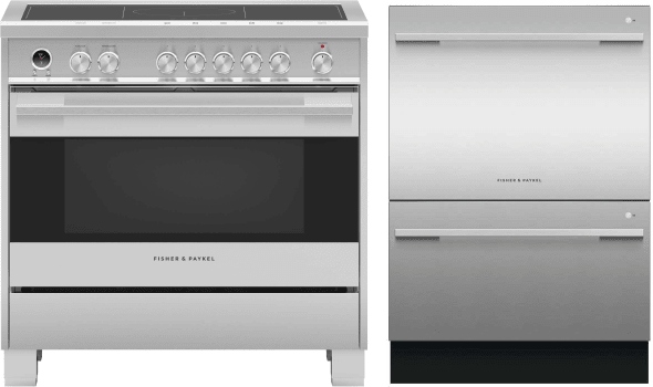 2 Piece Kitchen Appliances Package with Induction Range and Dishwasher in Stainless Steel - Fisher & Paykel FPRADW14